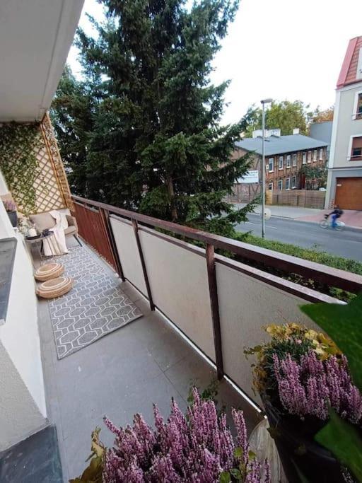 Apartament Podgorna 19 Leilighet Stary Toruń Eksteriør bilde
