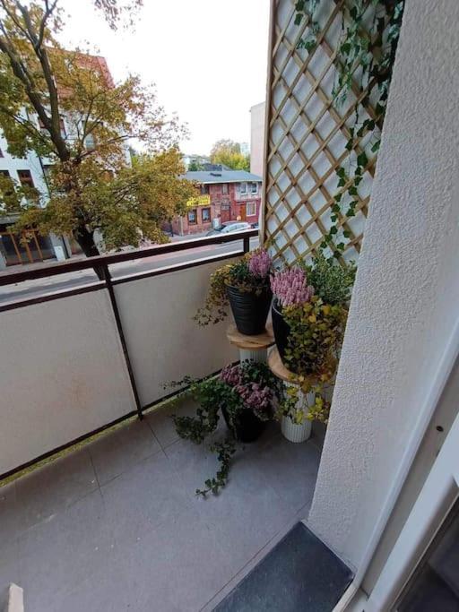 Apartament Podgorna 19 Leilighet Stary Toruń Eksteriør bilde